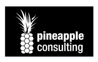 Pineapple Consulting Logo, Industry Collaborations of World University of Design
