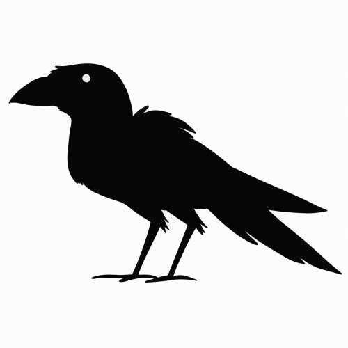 Crow animation